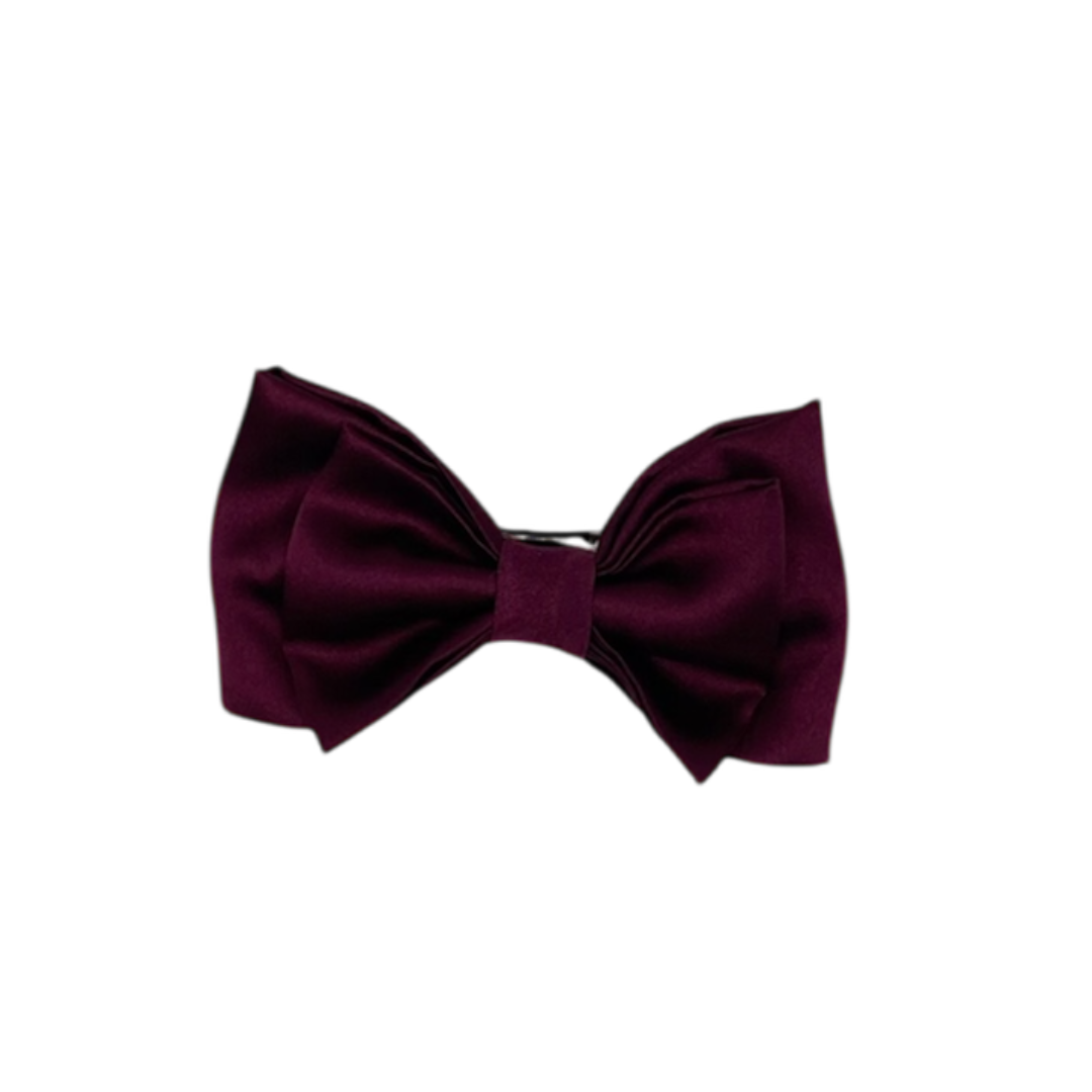 Luxe Satin Bow Hair Clips